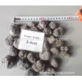 Mushrooms truffles, Chinese tuber indicum truffle